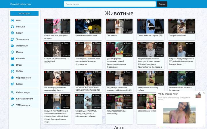 Screenshot of providosiki.com