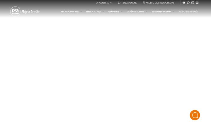 Screenshot of psa.com.ar