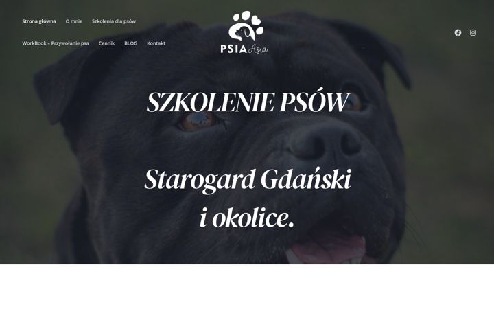 Posnetek zaslona psiaasia.pl