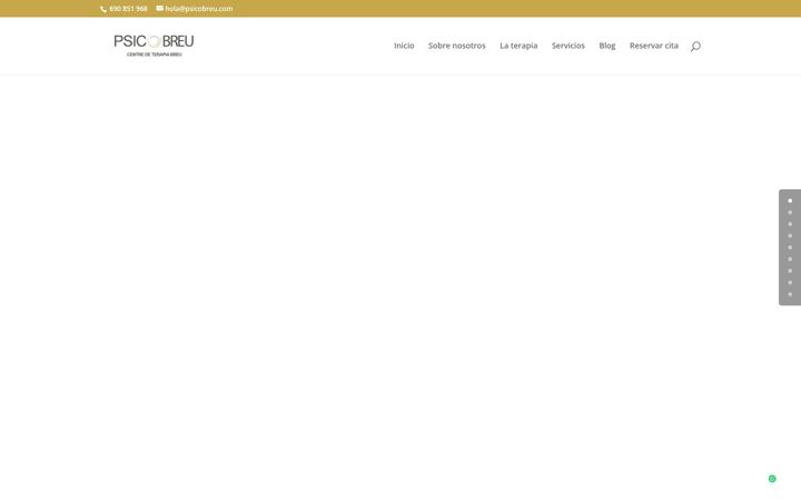 Screenshot of psicobreu.com