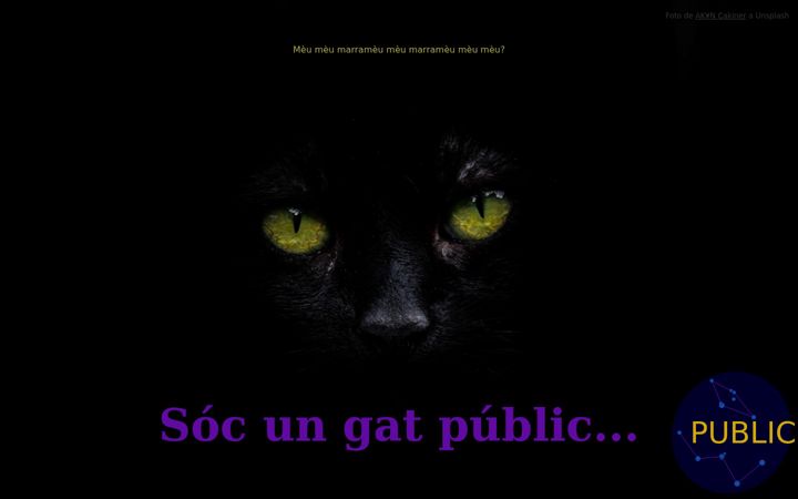 Screenshot of public.cat