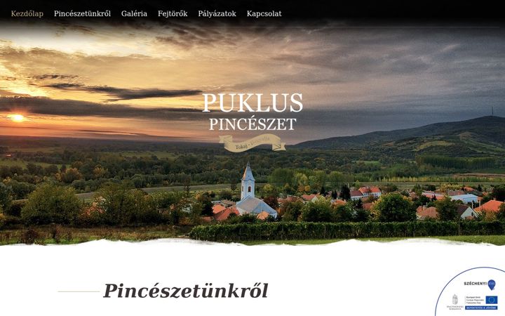 Screenshot of puklusbor.hu