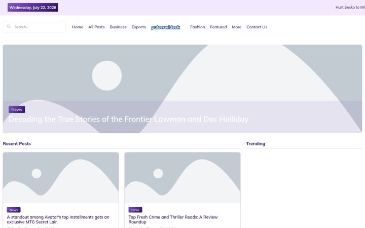 Screenshot of pulsereelsdesk.nl