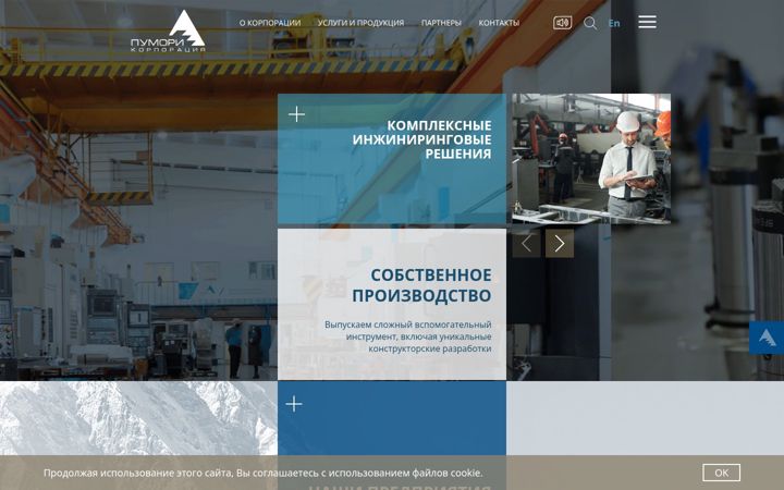 Screenshot of pumori.ru
