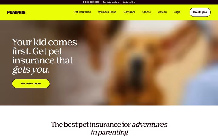 Screenshot of pumpkin.care