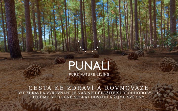 Zrzut ekranu punali.cz
