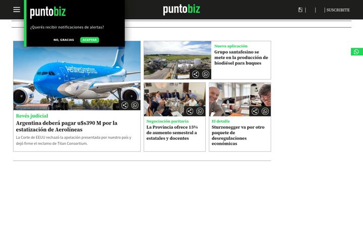 Screenshot of puntobiz.com.ar