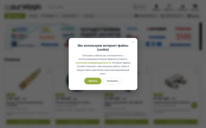 Screenshot of purelogic.ru