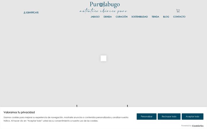 Screenshot of purojabugo.es