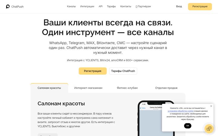 Ekrano kopija pushsms.ru
