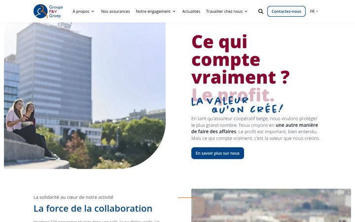 Screenshot di pvgroupe.be