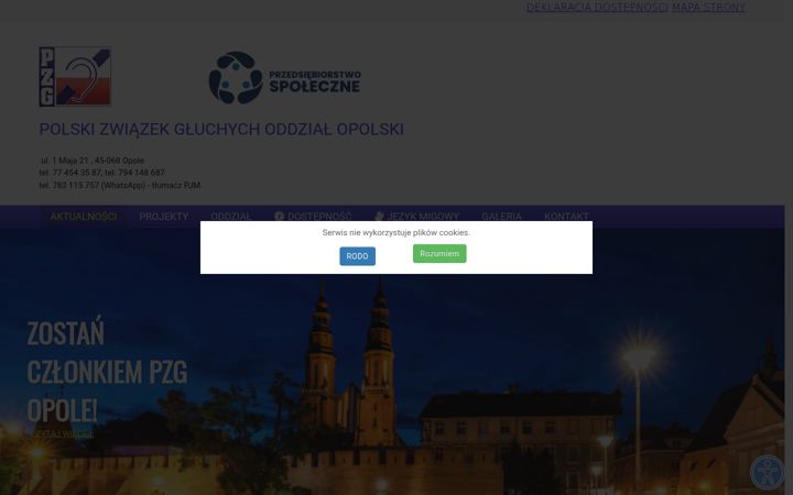Screenshot of pzgopole.pl