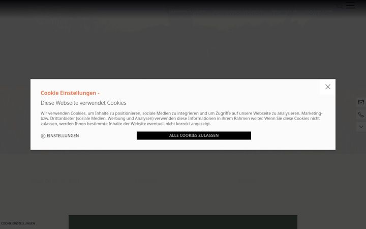 Screenshot of qi-wirtschaft.at