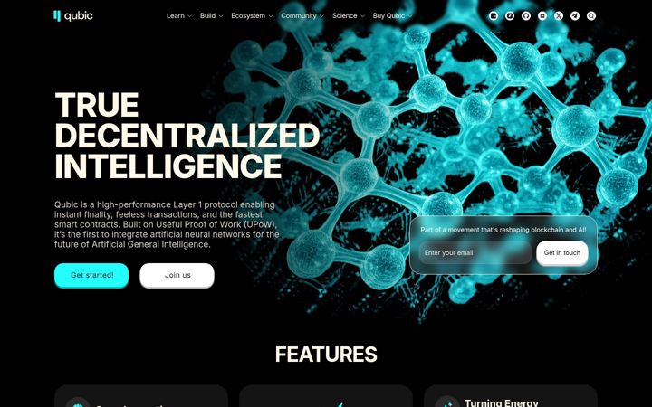 Screenshot of qubic.org