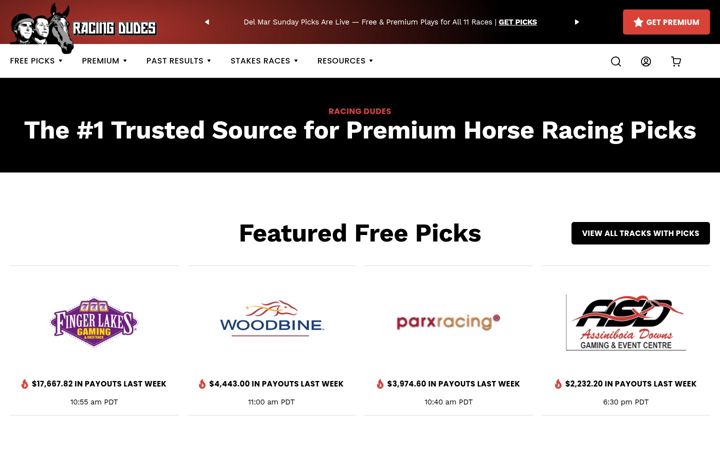 Screenshot of racingdudes.com
