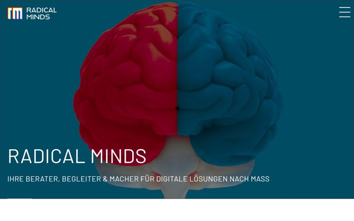 radicalminds.de