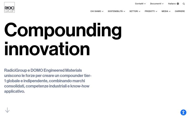 Screenshot of radicigroup.com