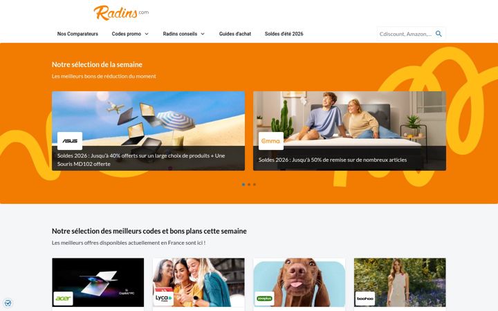 Screenshot of radins.com