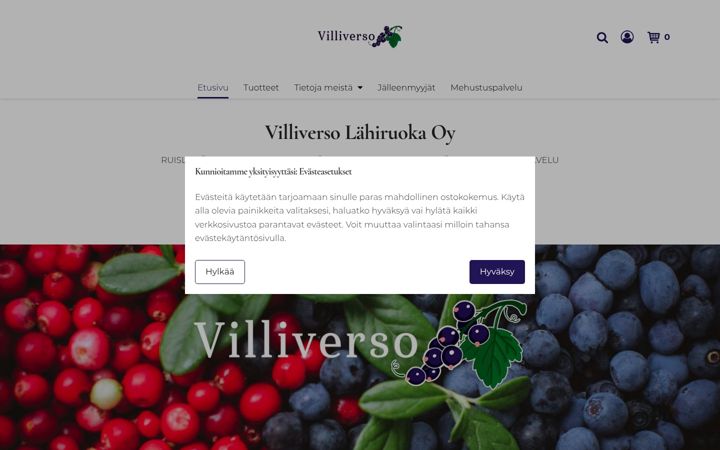 Skærmbillede af raijaasunta.fi