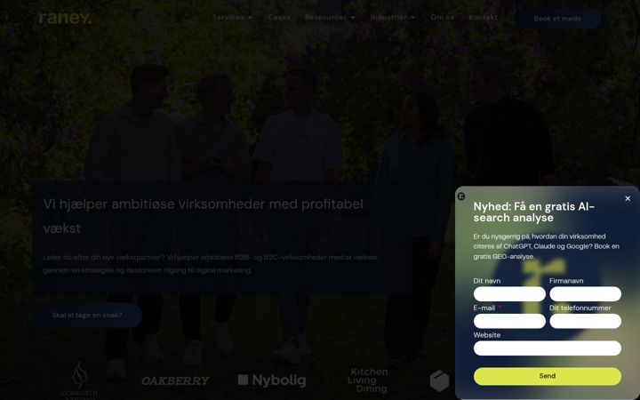 Screenshot of raneyconsulting.dk