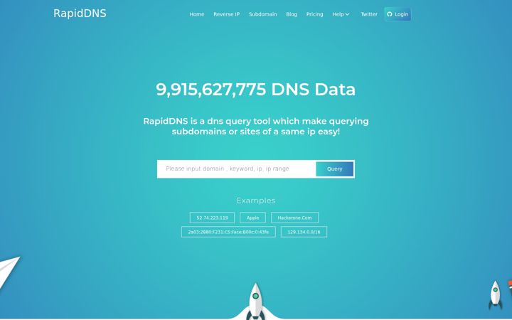 Képernyőkép: rapiddns.io