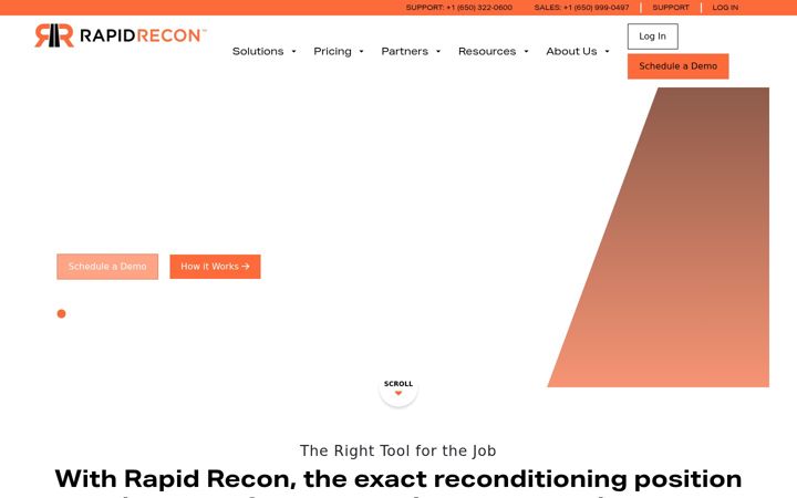 Snímek obrazovky rapidrecon.com