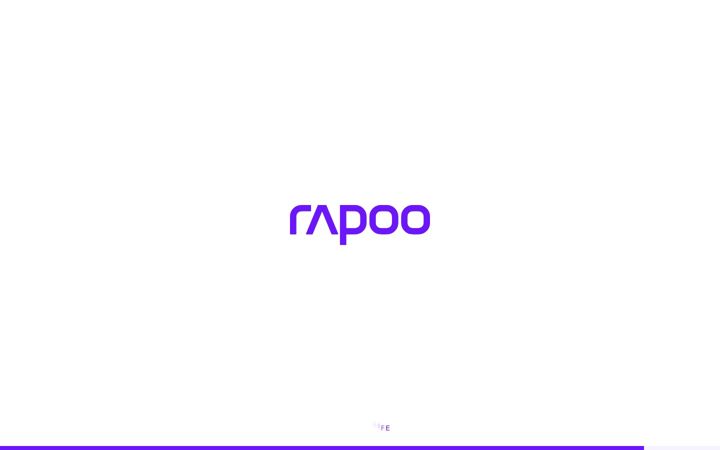 Screenshot of rapoo.com