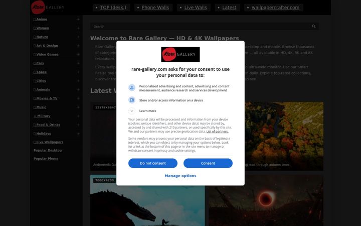Screenshot of raregallery.art