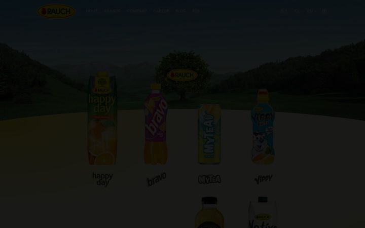 Screenshot of rauch.cc