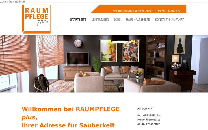 raumpflegeplus.de