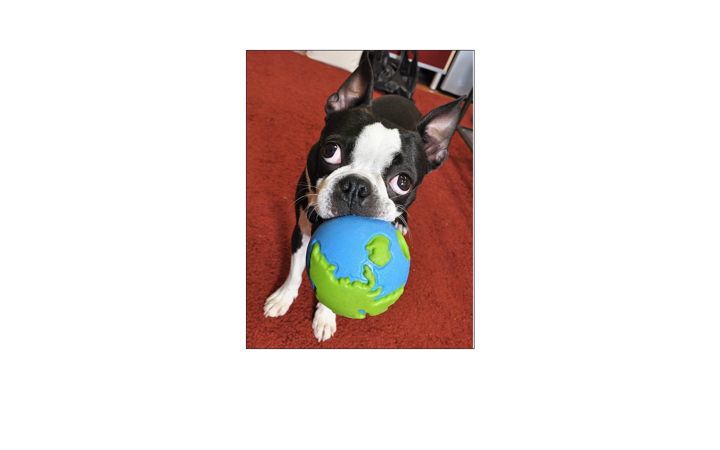 ravelrycache.com