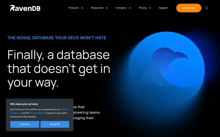 Screenshot of ravendb.net