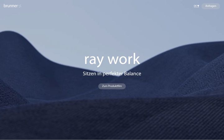 Ekrano kopija ray-work.com