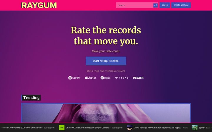 Screenshot of raygum.com