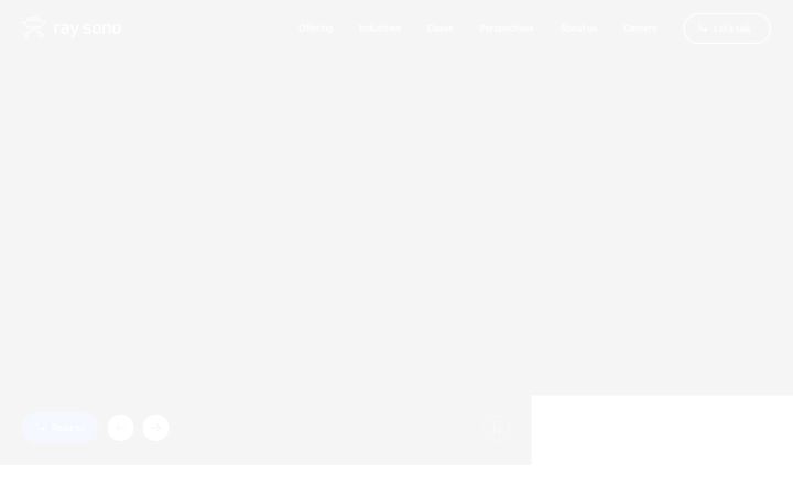 Captura de pantalla de raysono.com