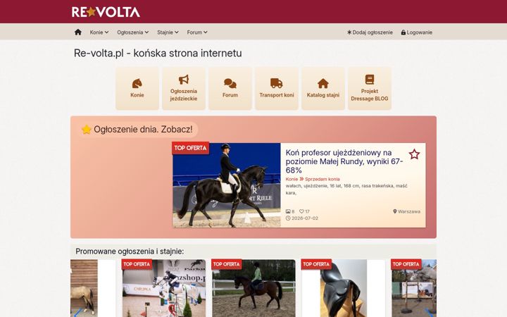 Screenshot of re-volta.pl