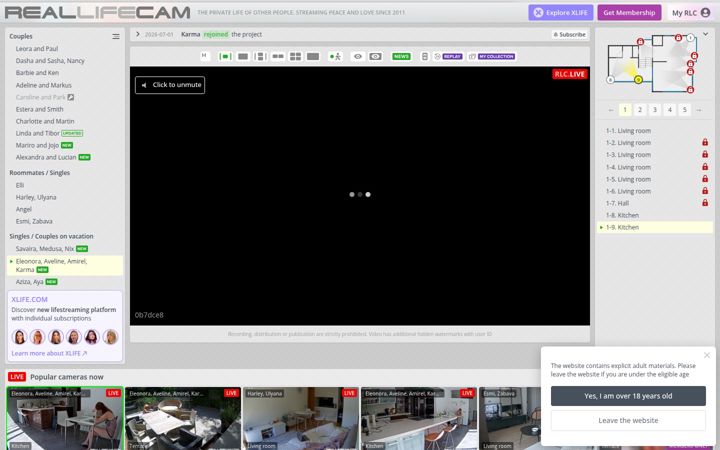 reallifecam.com