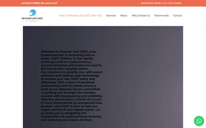 Snímek obrazovky recoverlostusdt.com