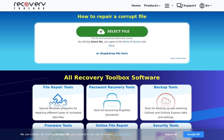 Screenshot of recoverytoolbox.com