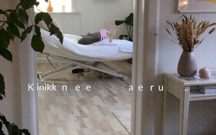 Captura de ecrã de reflexogmassage.dk