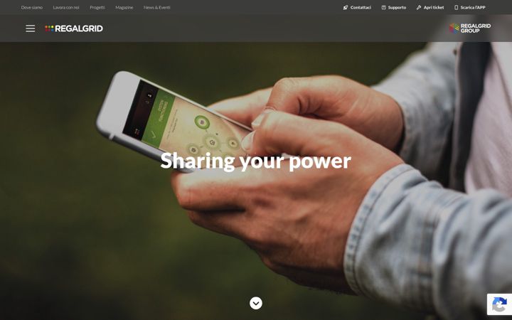 Skärmbild av regalgrid.com