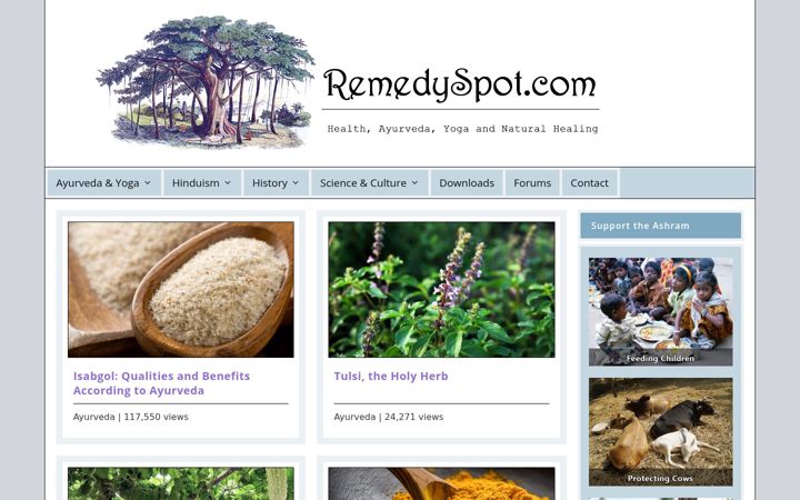 Screenshot of remedyspot.com