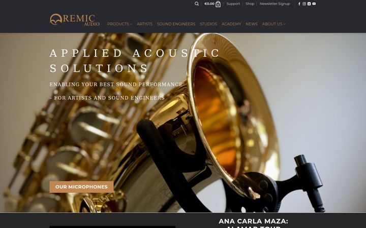 Screenshot of remic.dk