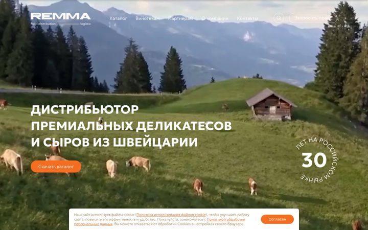 Screenshot of remma.ru