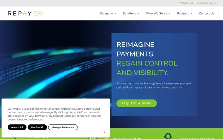 Screenshot of repayonline.com