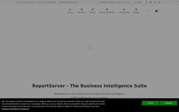 Screenshot of reportserver.net