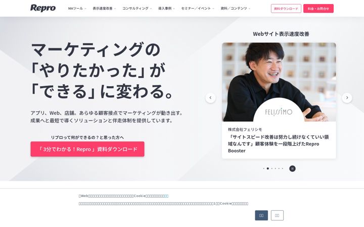 Screenshot of repro.io