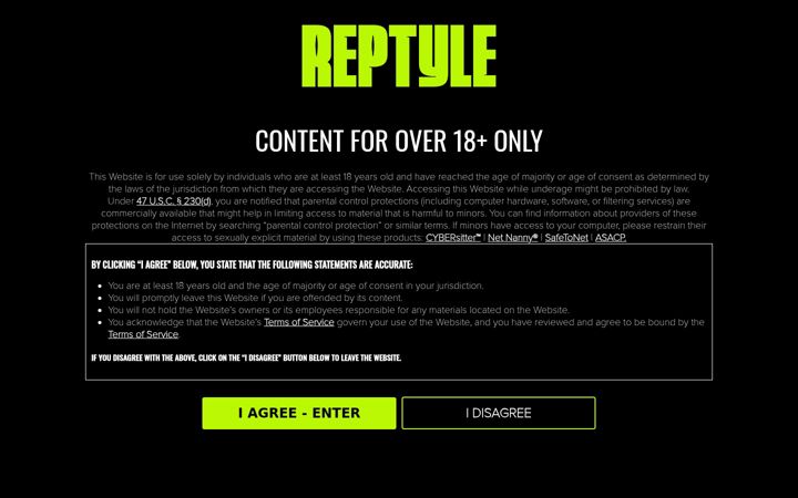 Ekraanipilt saidist reptyle.com