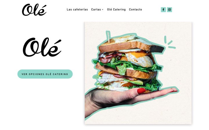 Posnetek zaslona restaurantesole.com