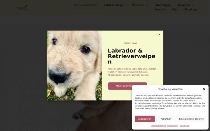 Screenshot di retrieverparadies.de